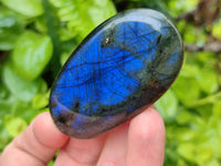 Polished Labradorite Galets x 12 From Tulear, Madagascar