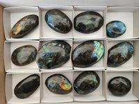 Polished Labradorite Galets x 12 From Tulear, Madagascar