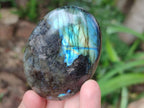 Polished Labradorite Galets x 12 From Tulear, Madagascar - Toprock Gemstones and Minerals 