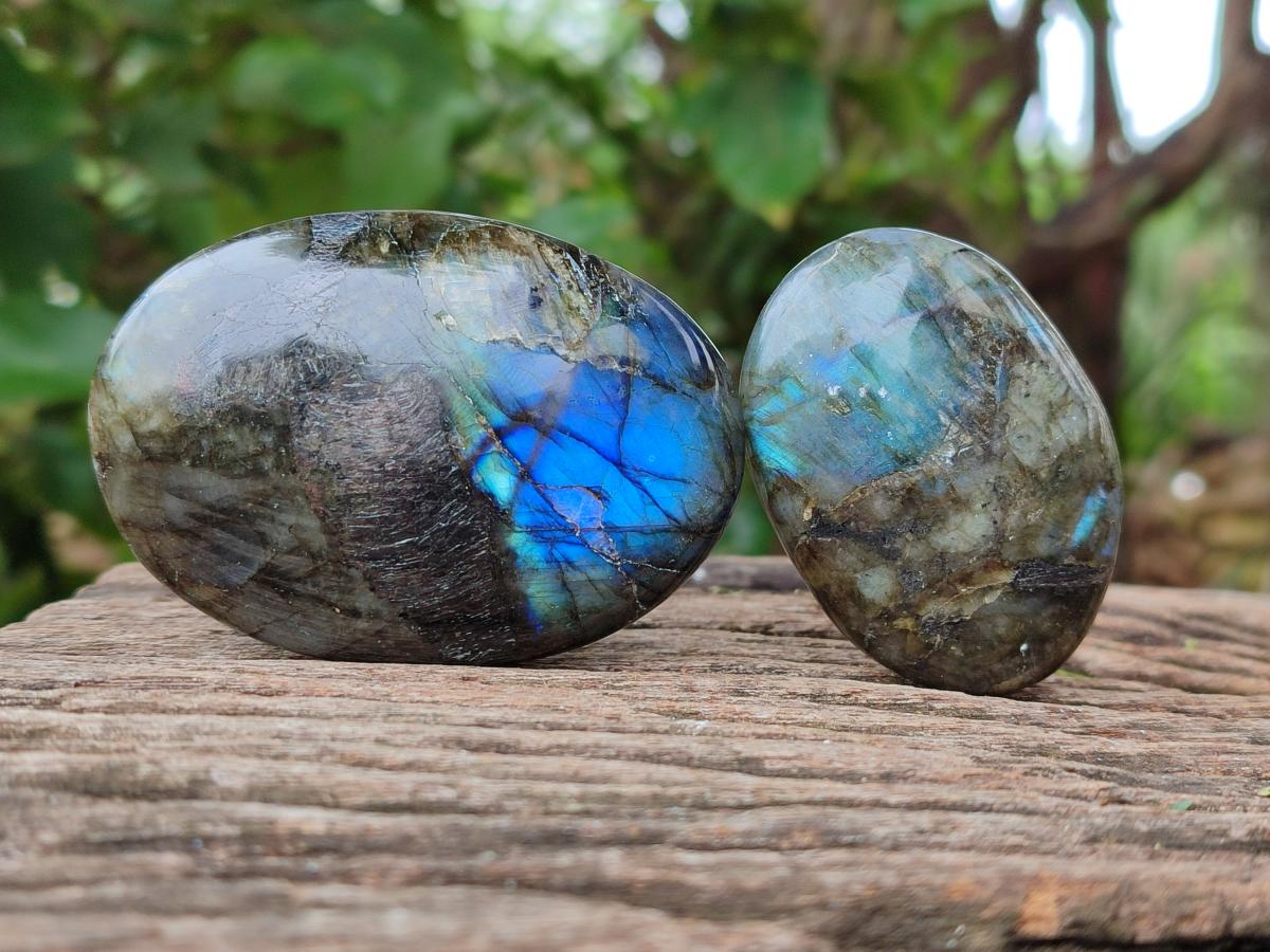 Polished Labradorite Galets x 12 From Tulear, Madagascar - Toprock Gemstones and Minerals 