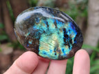 Polished Labradorite Galets x 12 From Tulear, Madagascar - Toprock Gemstones and Minerals 