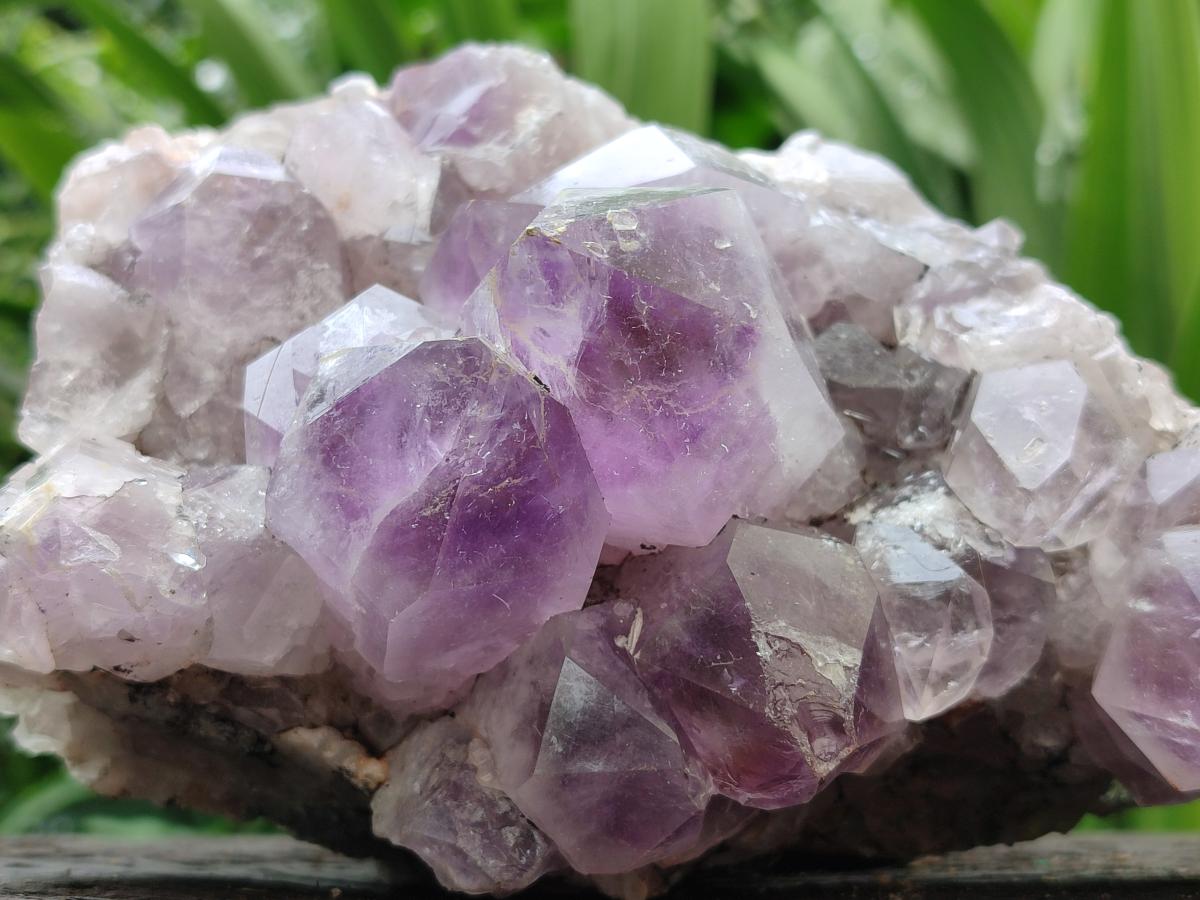 Natural Jacaranda Amethyst Crystal Clusters x 2 From Mumbwa, Zambia