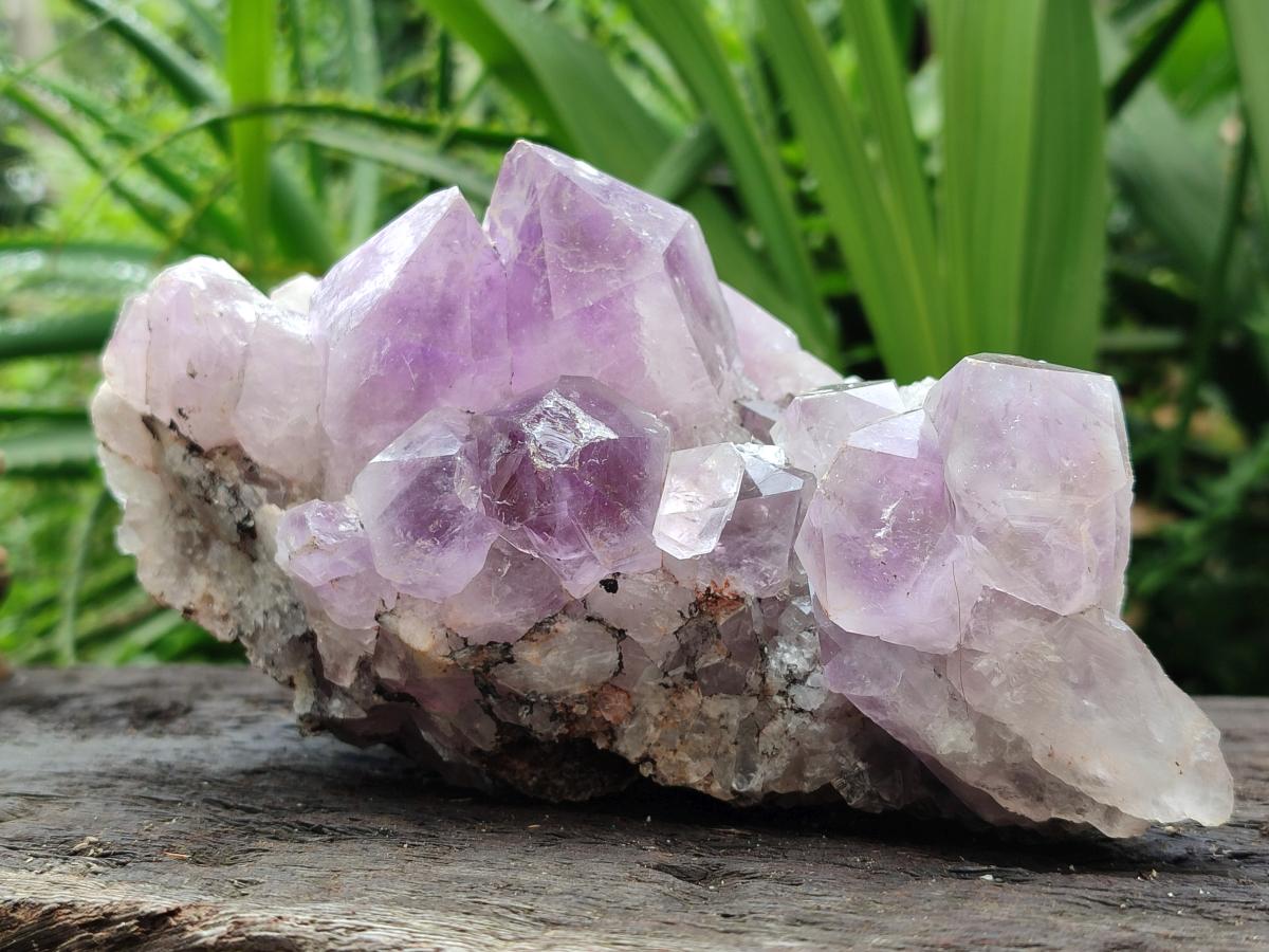Natural Jacaranda Amethyst Crystal Clusters x 2 From Mumbwa, Zambia