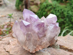 Natural Jacaranda Amethyst Crystal Clusters x 2 From Mumbwa, Zambia