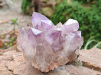 Natural Jacaranda Amethyst Crystal Clusters x 2 From Mumbwa, Zambia