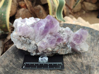 Natural Jacaranda Amethyst Crystal Clusters x 2 From Mumbwa, Zambia