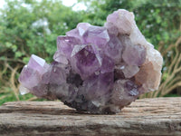 Natural Jacaranda Amethyst Crystal Clusters x 2 From Mumbwa, Zambia