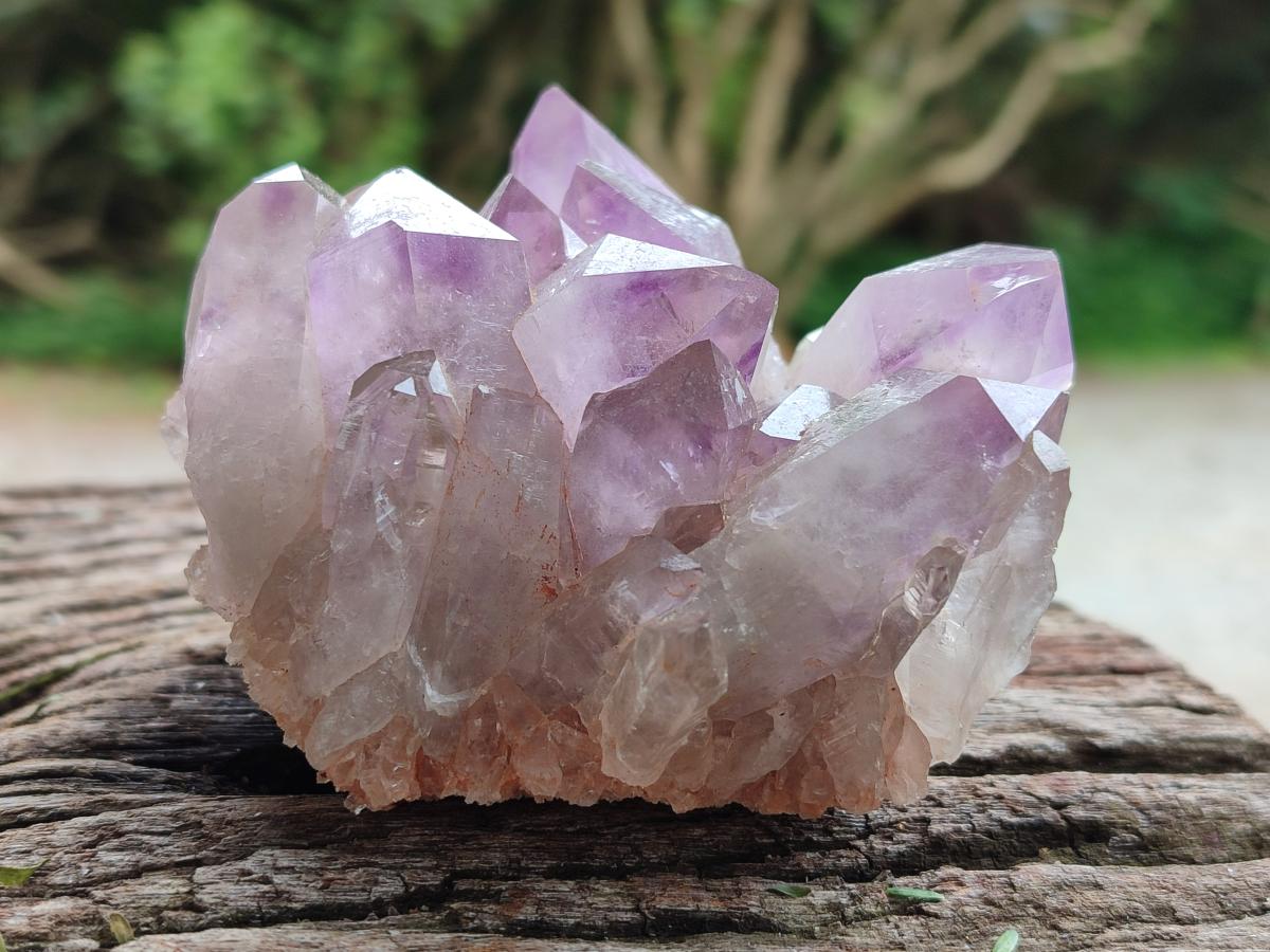 Natural Jacaranda Amethyst Crystal Clusters x 2 From Mumbwa, Zambia