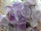 Natural Jacaranda Amethyst Crystal Clusters x 2 From Mumbwa, Zambia