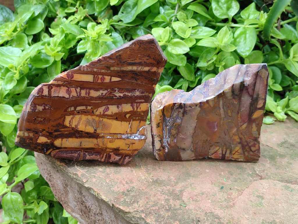 Polished On One Side Nguni Jasper Slices x 3 From Northern Cape, South Africa
