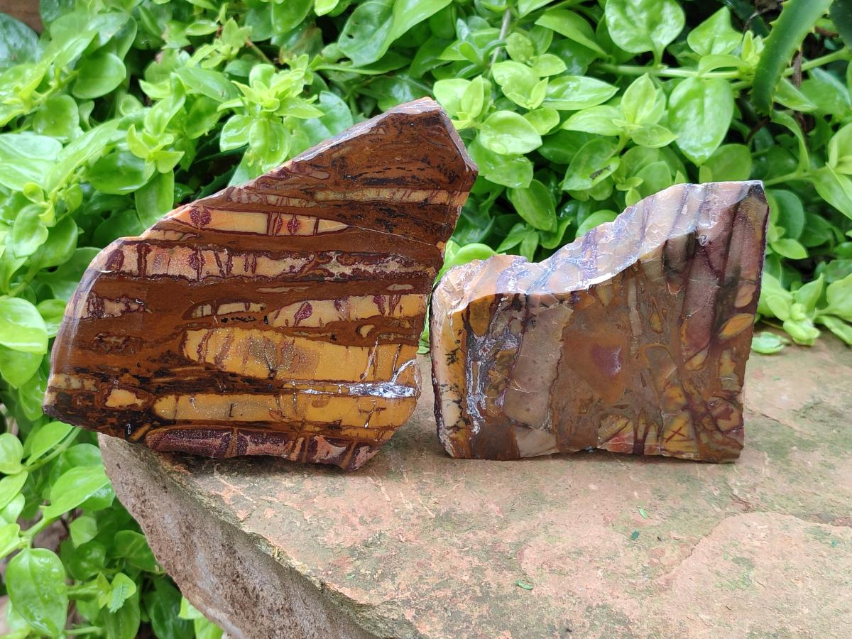 Polished On One Side Nguni Jasper Slices x 3 From Northern Cape, South Africa