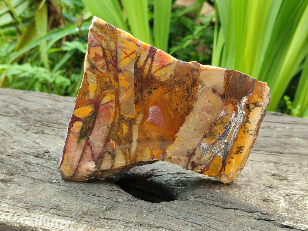 Polished On One Side Nguni Jasper Slices x 3 From Northern Cape, South Africa