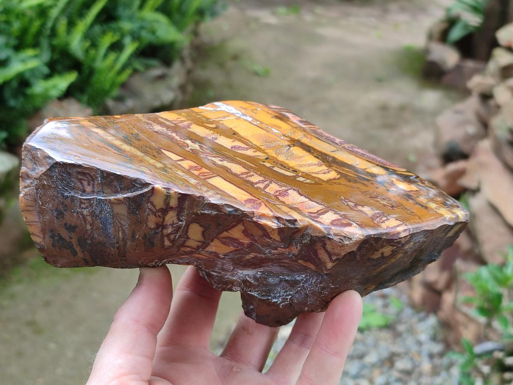 Polished On One Side Nguni Jasper Slices x 3 From Northern Cape, South Africa