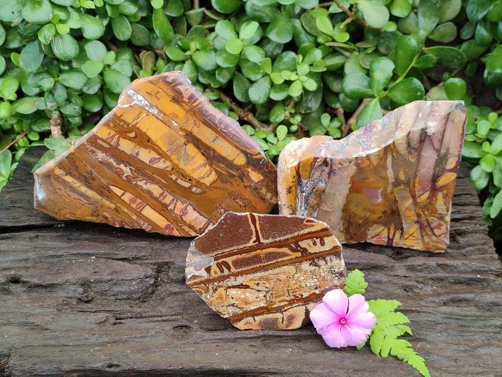 Polished On One Side Nguni Jasper Slices x 3 From Northern Cape, South Africa
