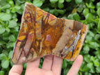 Polished On One Side Nguni Jasper Slices x 3 From Northern Cape, South Africa