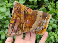 Polished On One Side Nguni Jasper Slices x 3 From Northern Cape, South Africa