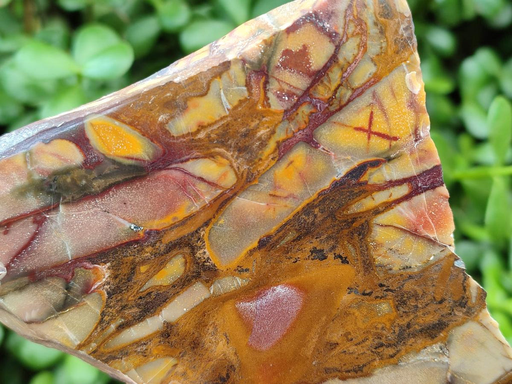 Polished On One Side Nguni Jasper Slices x 3 From Northern Cape, South Africa