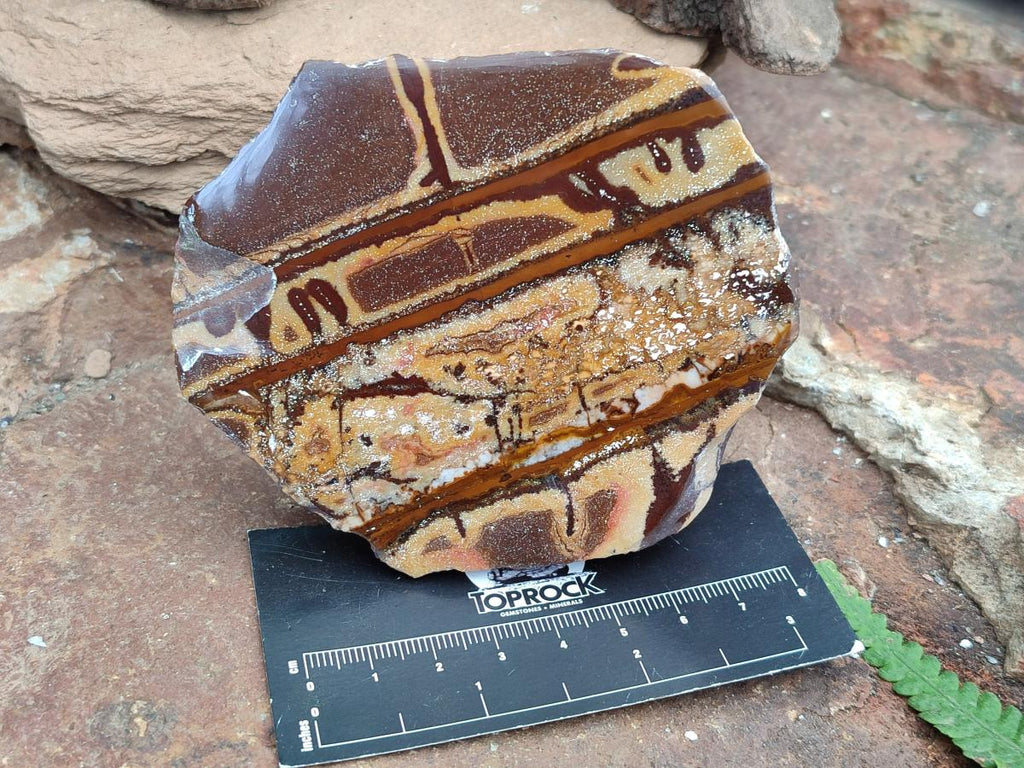 Polished On One Side Nguni Jasper Slices x 3 From Northern Cape, South Africa