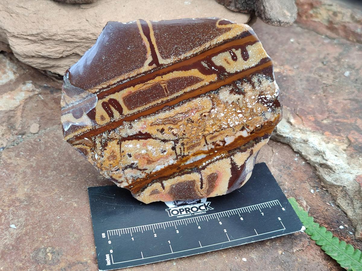 Polished On One Side Nguni Jasper Slices x 3 From Northern Cape, South Africa