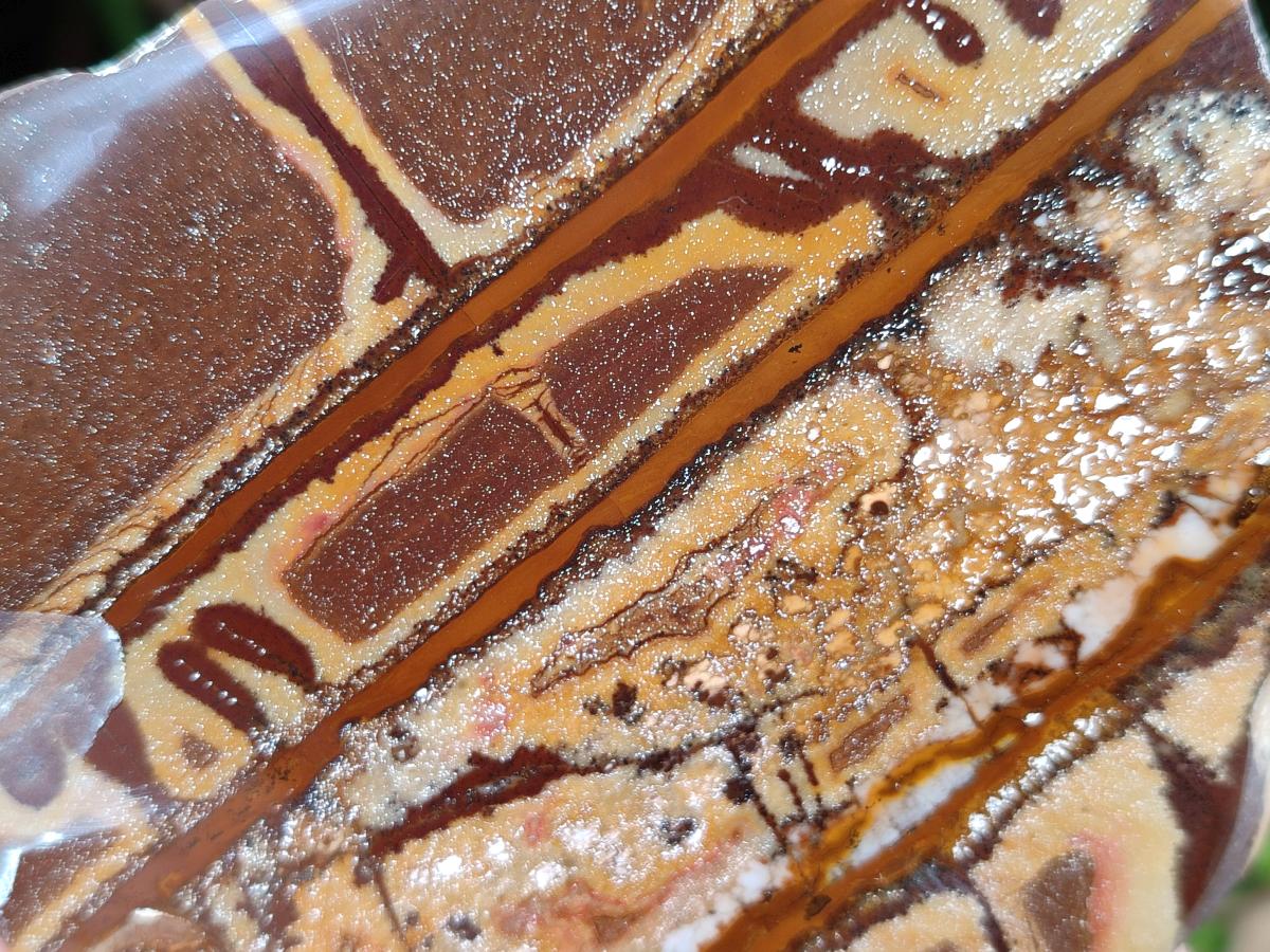 Polished On One Side Nguni Jasper Slices x 3 From Northern Cape, South Africa