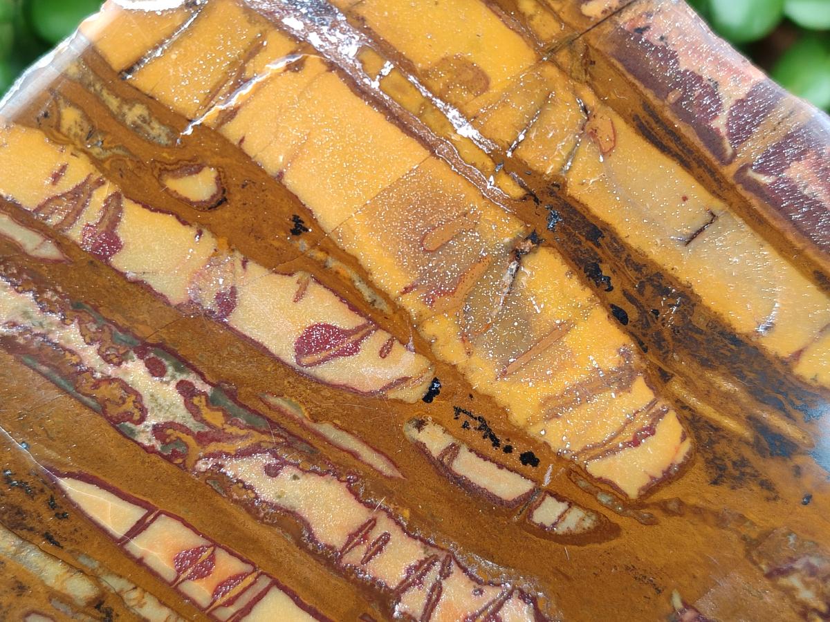 Polished On One Side Nguni Jasper Slices x 3 From Northern Cape, South Africa