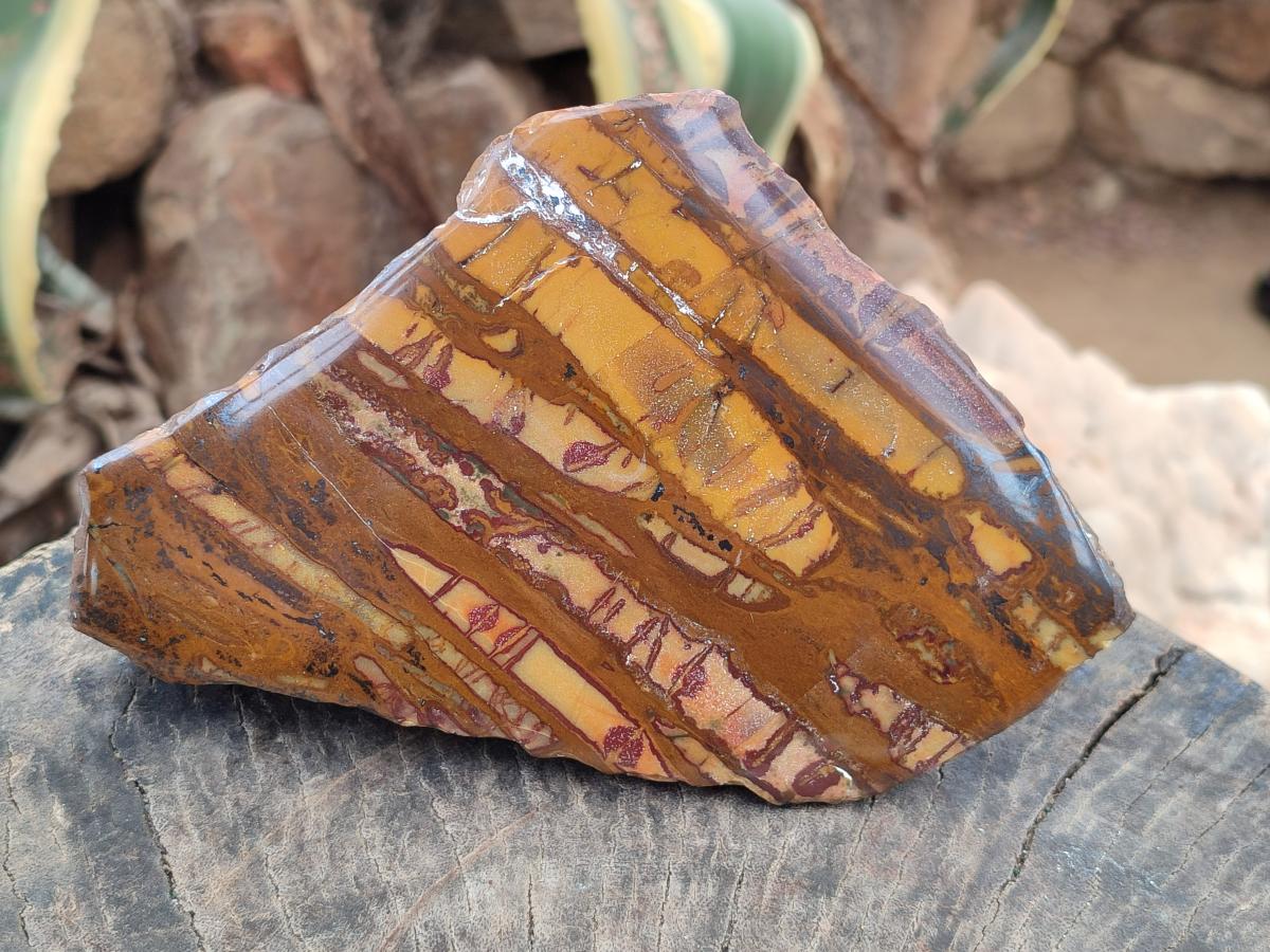 Polished On One Side Nguni Jasper Slices x 3 From Northern Cape, South Africa