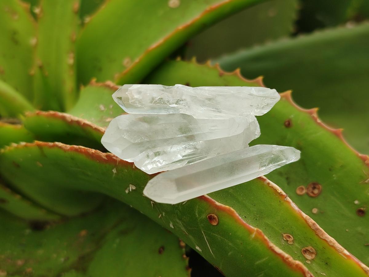 Natural Mine Run Clear Quartz Crystals x 2.95 Kg Lot From Ambatofinandrahana, Madagascar