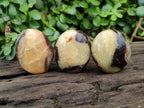 Polished Septerye Galets x 12 From Mahajanga, Madagascar - Toprock Gemstones and Minerals 