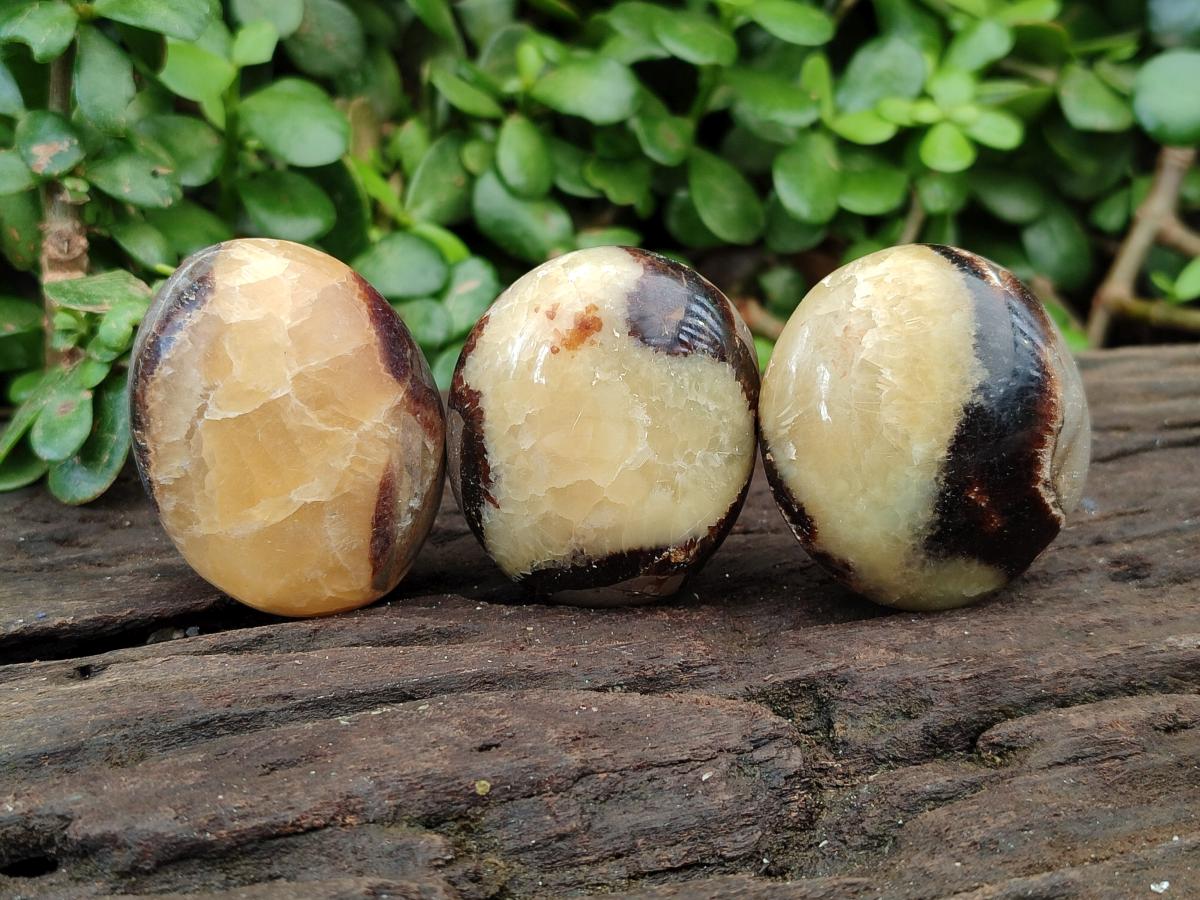 Polished Septerye Galets x 12 From Mahajanga, Madagascar - Toprock Gemstones and Minerals 