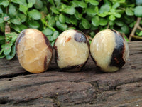 Polished Septerye Galets x 12 From Mahajanga, Madagascar