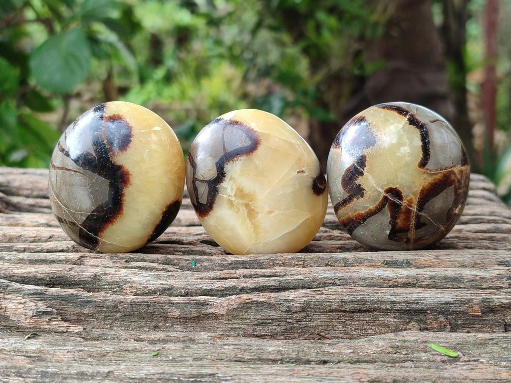 Polished Septerye Galets x 12 From Mahajanga, Madagascar - Toprock Gemstones and Minerals 