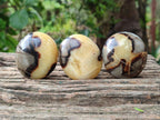 Polished Septerye Galets x 12 From Mahajanga, Madagascar - Toprock Gemstones and Minerals 
