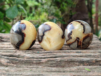 Polished Septerye Galets x 12 From Mahajanga, Madagascar