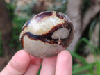 Polished Septerye Galets x 12 From Mahajanga, Madagascar - Toprock Gemstones and Minerals 