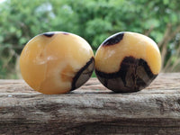 Polished Septerye Galets x 12 From Mahajanga, Madagascar