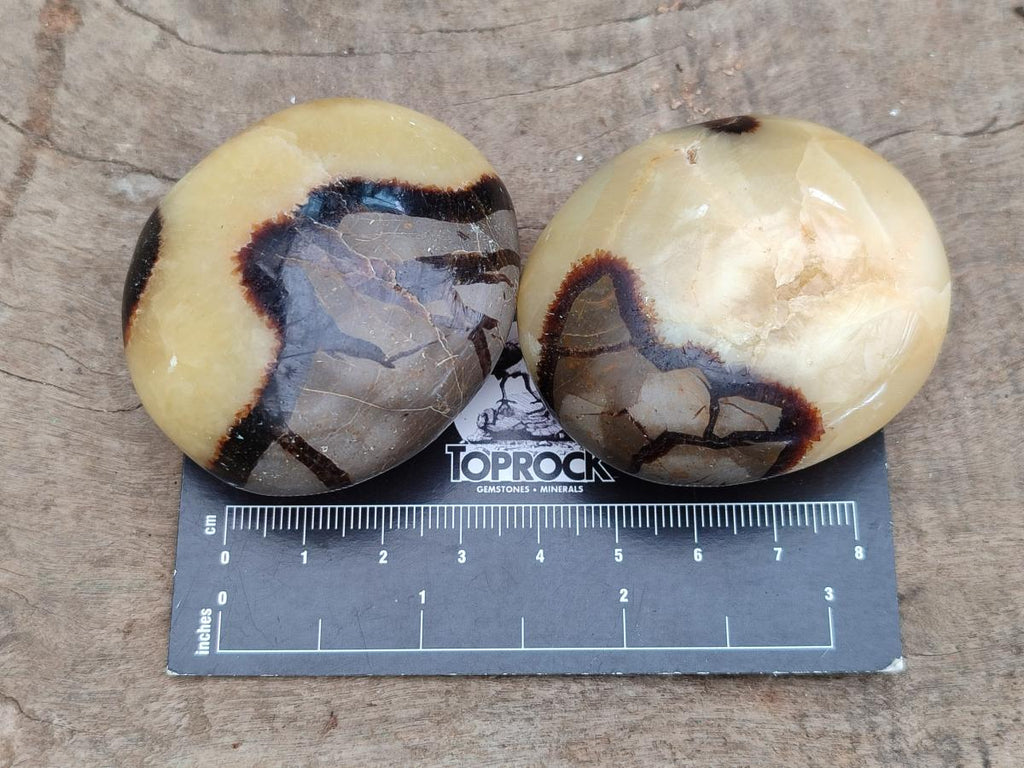 Polished Septerye Galets x 12 From Mahajanga, Madagascar - Toprock Gemstones and Minerals 