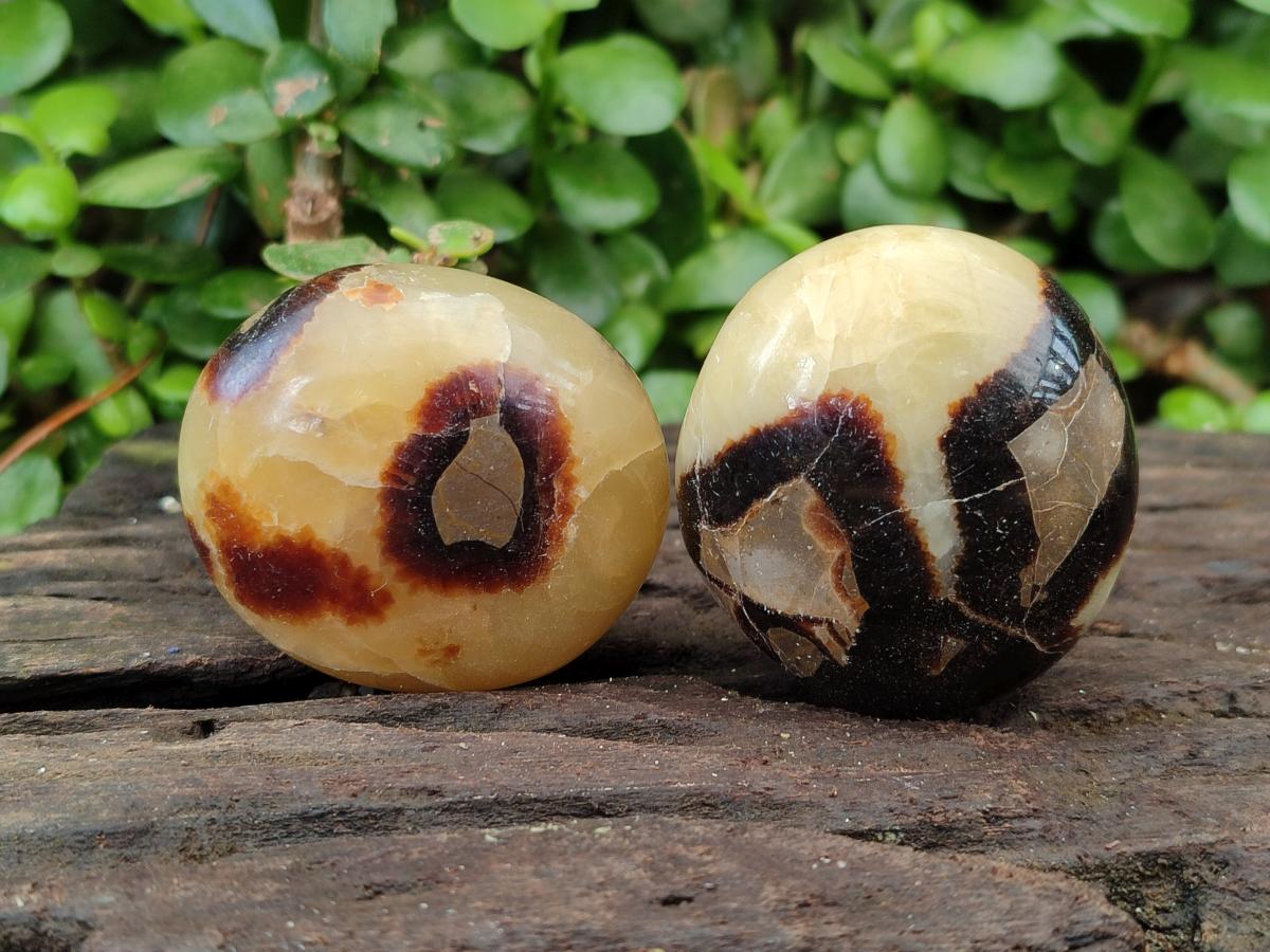 Polished Septerye Galets x 12 From Mahajanga, Madagascar - Toprock Gemstones and Minerals 