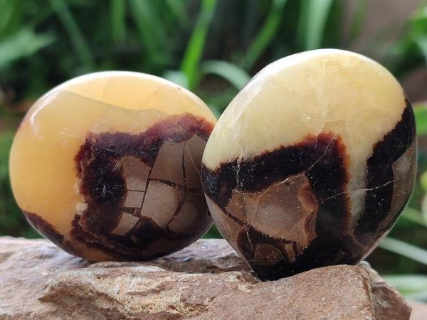 Polished Septerye Galets x 12 From Mahajanga, Madagascar