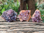 Natural Amethystos Amethyst Clusters x 35 From Kwaggafontein, South Africa