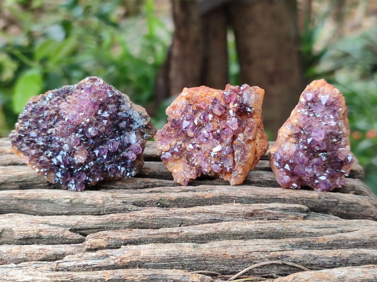Natural Amethystos Amethyst Clusters x 35 From Kwaggafontein, South Africa