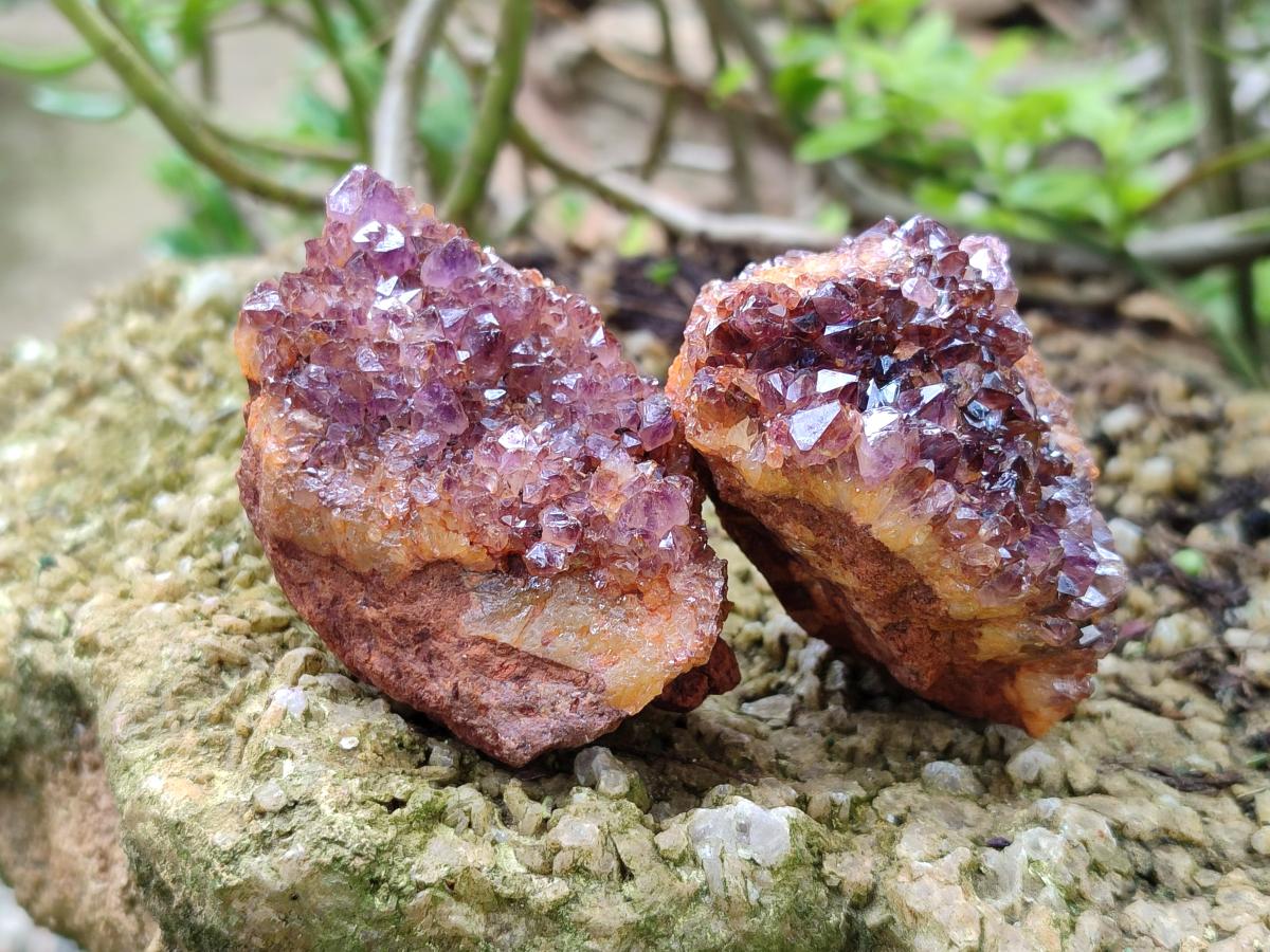 Natural Amethystos Amethyst Clusters x 35 From Kwaggafontein, South Africa