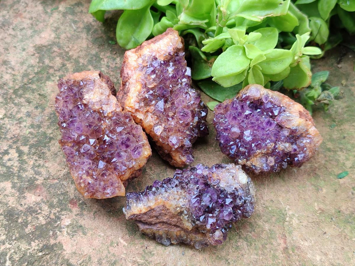 Natural Amethystos Amethyst Clusters x 35 From Kwaggafontein, South Africa