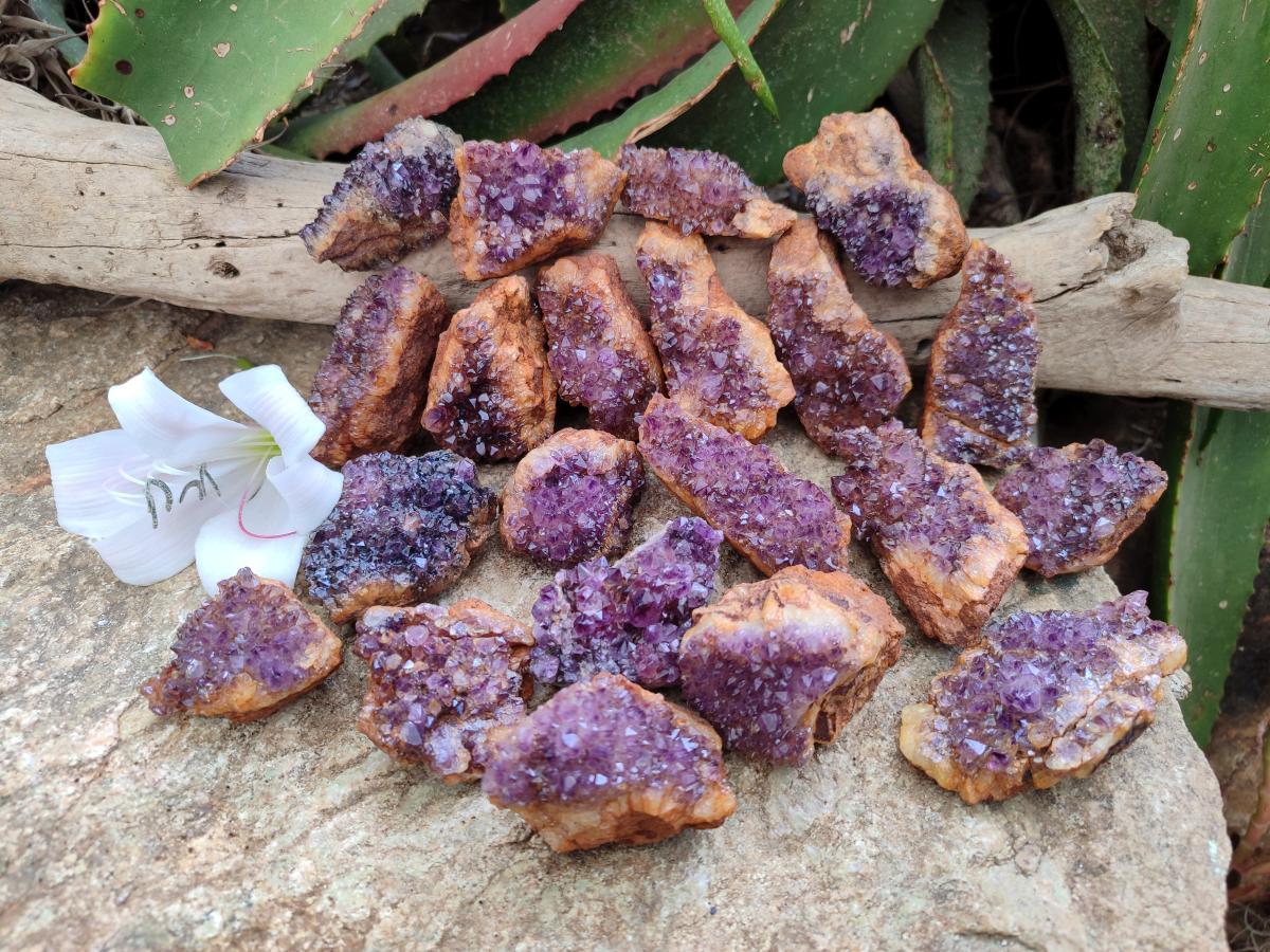 Natural Amethystos Amethyst Clusters x 35 From Kwaggafontein, South Africa