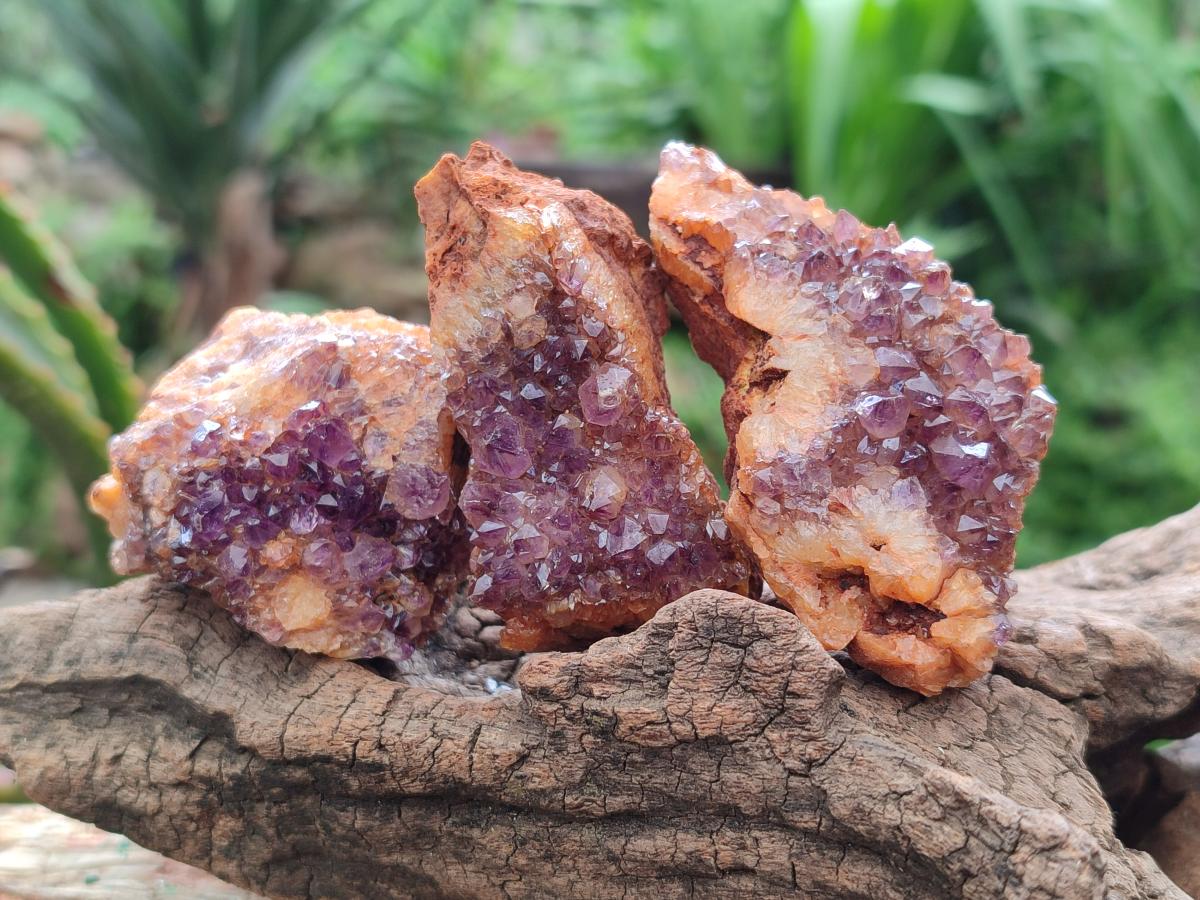 Natural Amethystos Amethyst Clusters x 35 From Kwaggafontein, South Africa