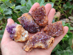 Natural Amethystos Amethyst Clusters x 35 From Kwaggafontein, South Africa