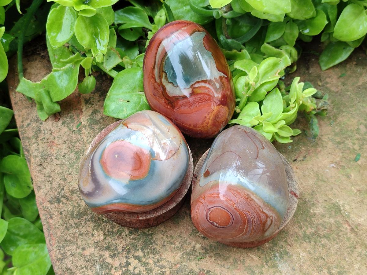 Polished On One Side Polychrome Jasper Nodules x 12 From NW Coast, Madagascar