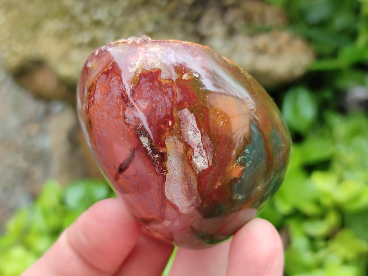 Polished On One Side Polychrome Jasper Nodules x 12 From NW Coast, Madagascar