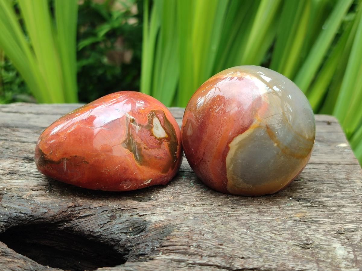 Polished On One Side Polychrome Jasper Nodules x 12 From NW Coast, Madagascar