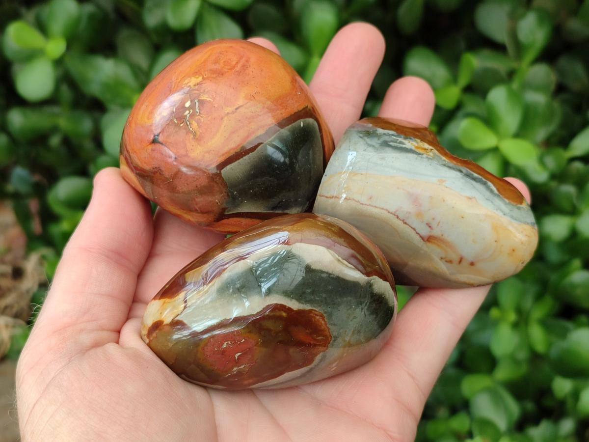 Polished On One Side Polychrome Jasper Nodules x 12 From NW Coast, Madagascar