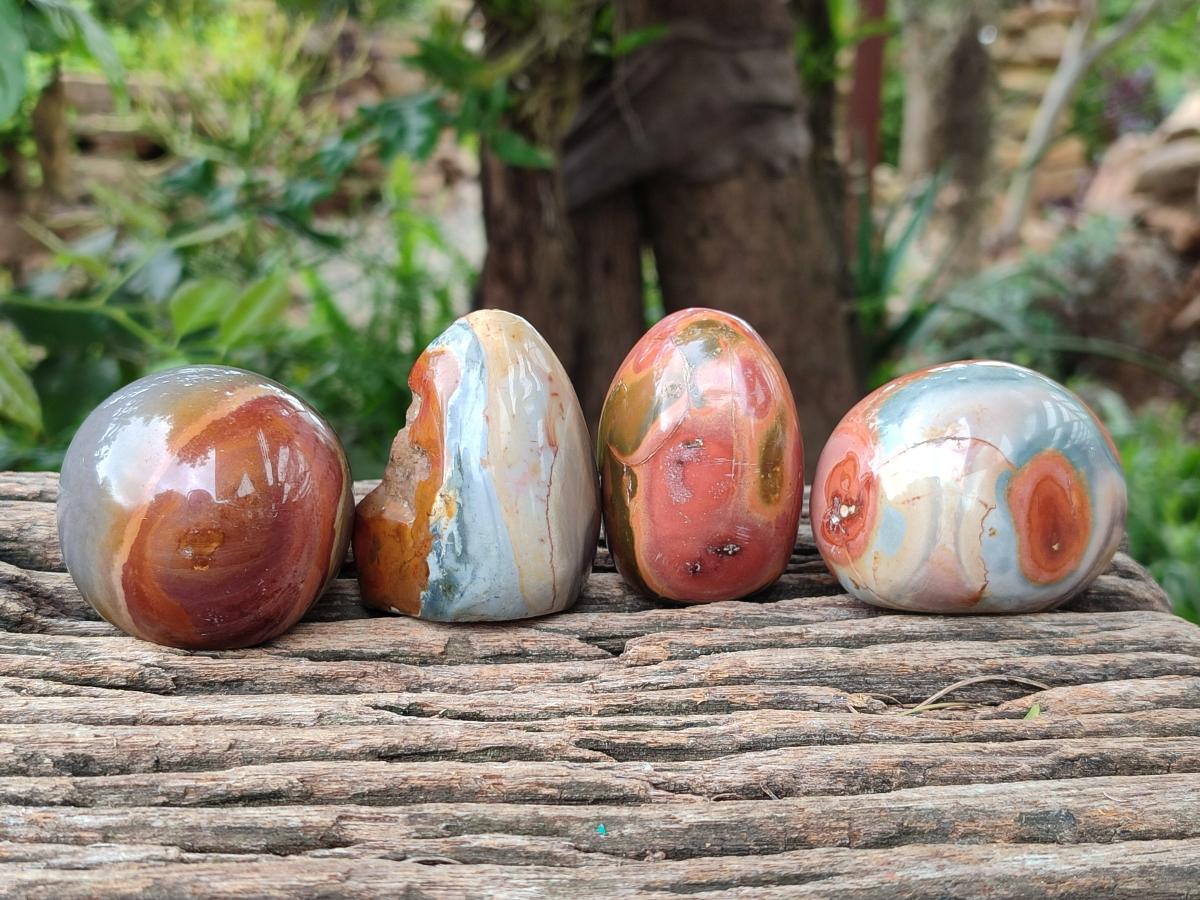 Polished On One Side Polychrome Jasper Nodules x 12 From NW Coast, Madagascar
